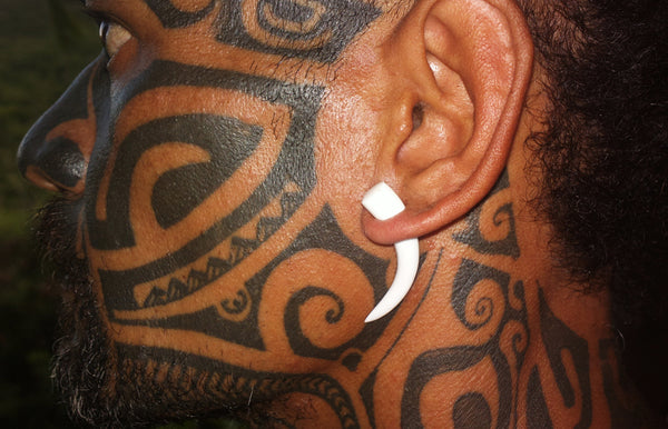 Plug earrings