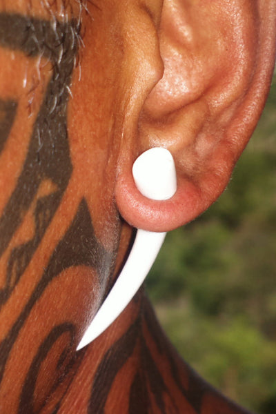 Plug earrings