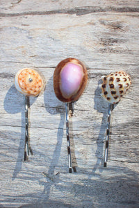 Seashell hair-pins (3,5 cm) price per piece