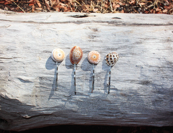 Seashell hair-pins (3,5 cm) price per piece