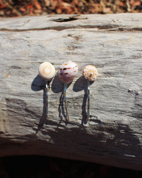 Seashell hair-pins (3,5 cm) price per piece