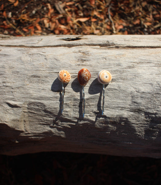 Seashell hair-pins (3,5 cm) price per piece