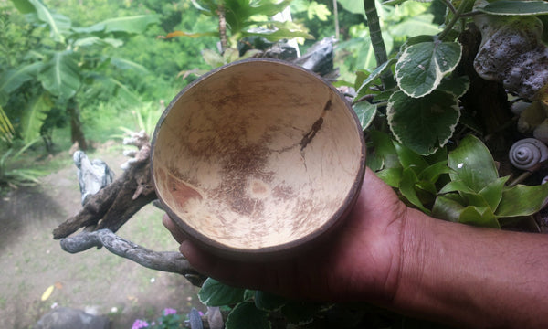 Finely carved Marquesan bowl ∿ Te Henua Enana - Cannibal Art