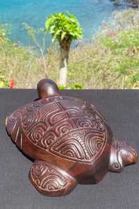 Marquesan turtle
