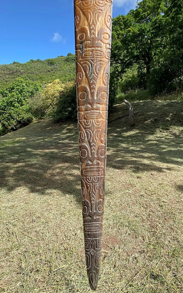 Swordfish rostrum – Cannibal Art