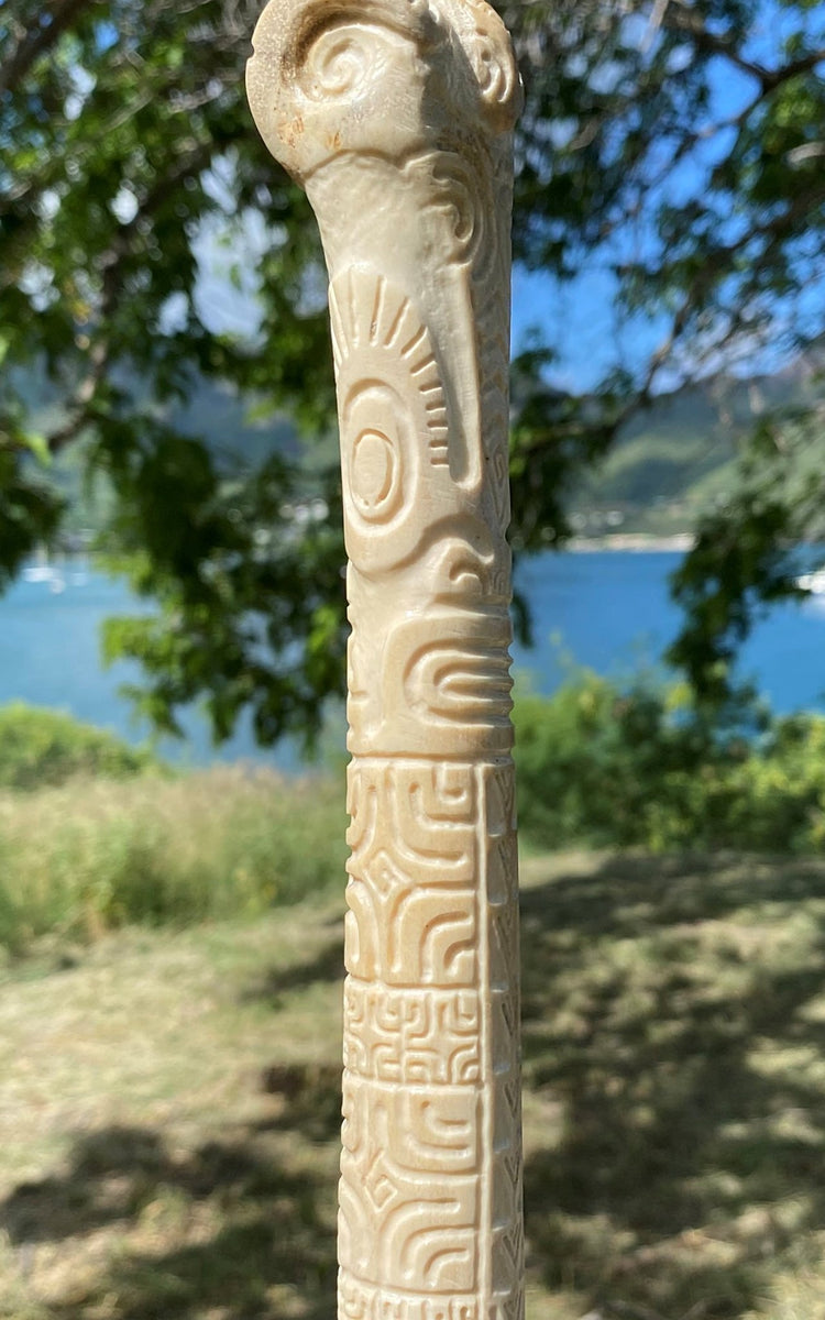 Swordfish rostrum – Cannibal Art