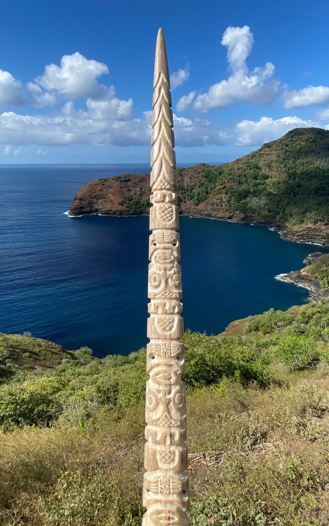 Swordfish rostrum (stand included) – Cannibal Art