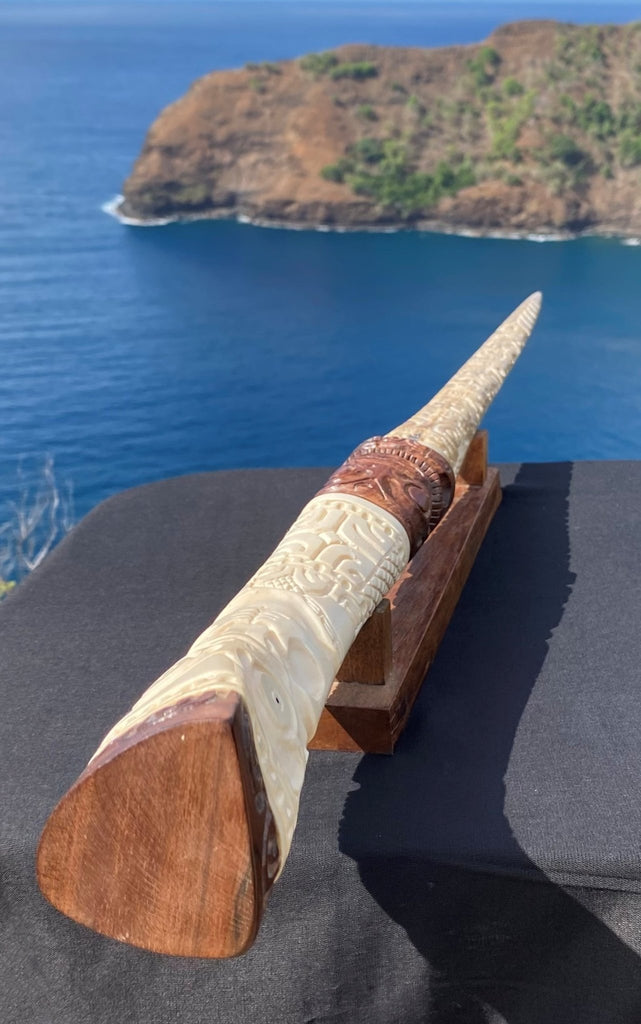 Swordfish rostrum (stand included) – Cannibal Art