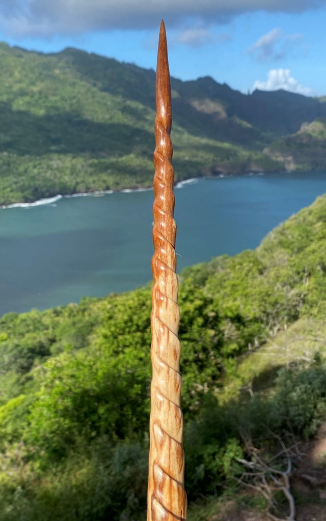 Swordfish rostrum – Cannibal Art