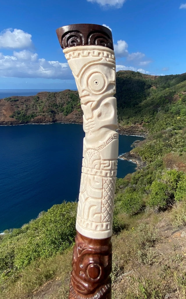 Swordfish rostrum (stand included) – Cannibal Art