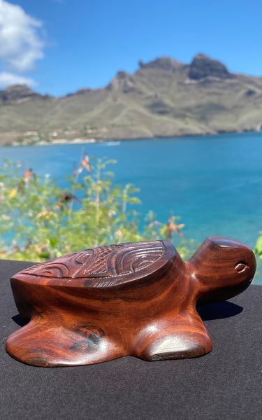 Marquesan baby turtle