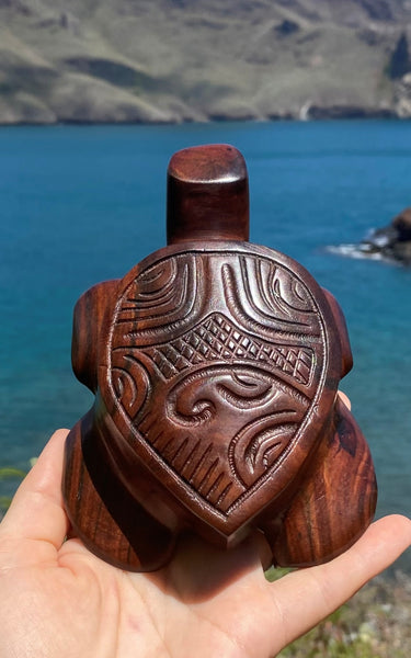Marquesan baby turtle