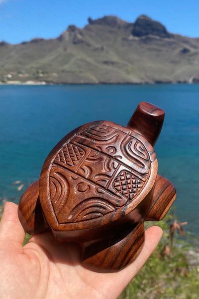Marquesan baby turtle
