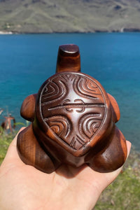 Marquesan baby turtle